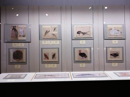 「禽譜・魚蟲譜」の写真