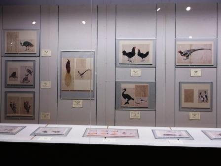 「きらめく叡智と美のしずく展」の写真1