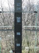 東日本大震災 宮城県内の推定される津波の高さの画像