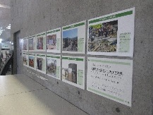 ミニ展示「手をそえてくれた人たち」の展示画像2枚目