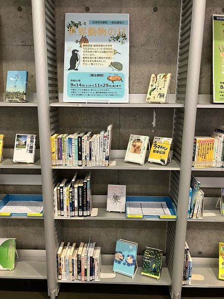 一般図書展示の画像