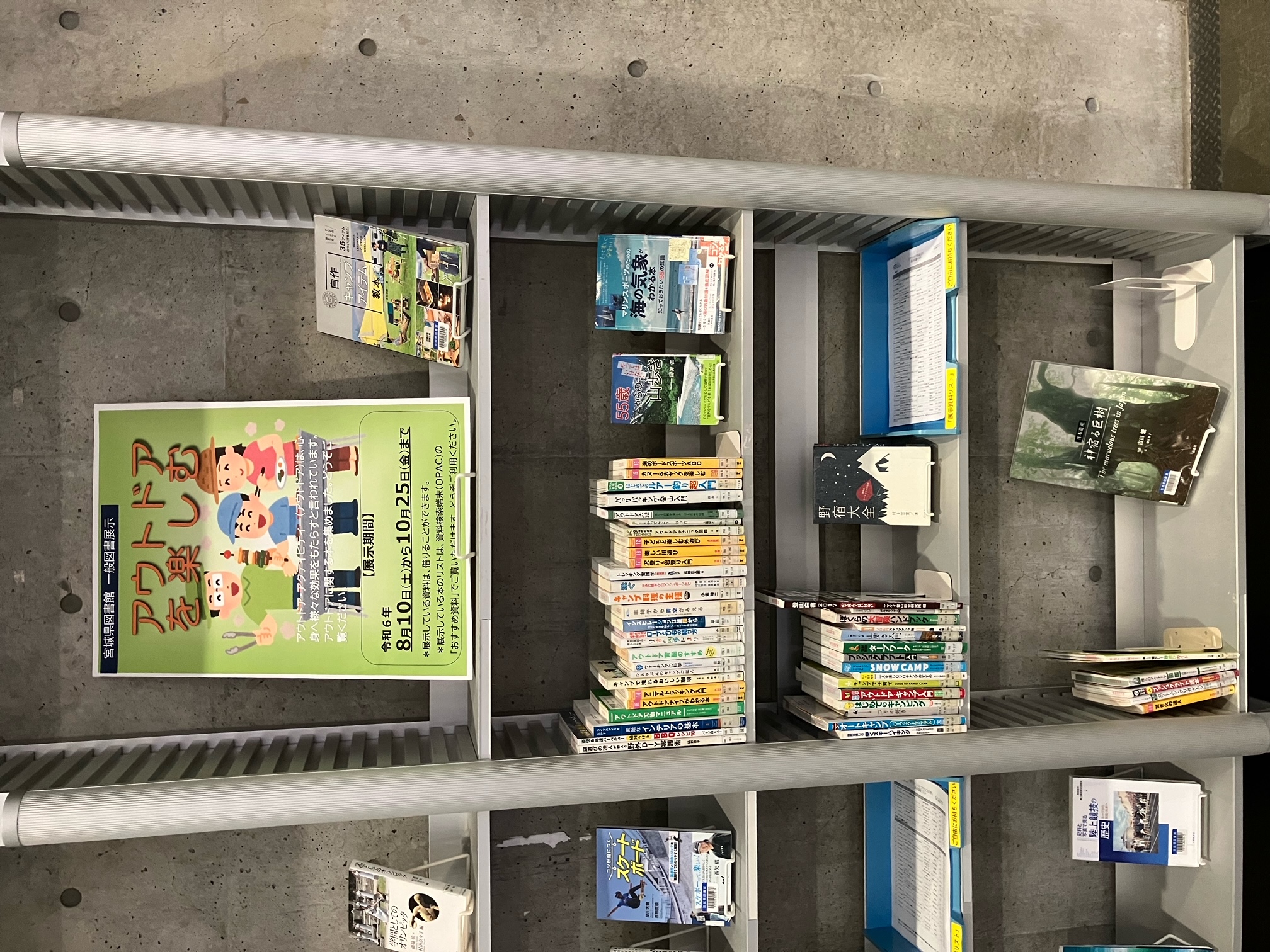 一般図書展示の画像